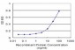 NEK2 Antibody (monoclonal) (M11)